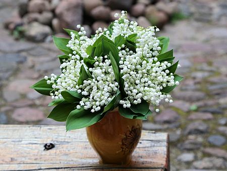 Воздух прогреется до +18 градусов