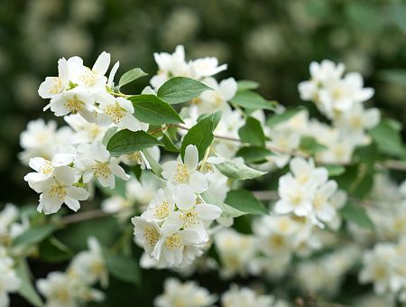 Otrdien mazināsies vēja brāzmas un spīdēs saule
