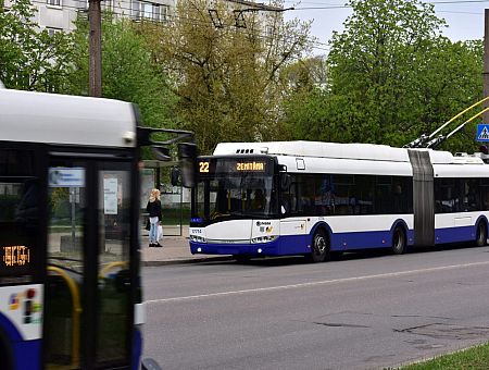 «Так много людей не различают автобус и троллейбус!» Какой выход предлагают в соцсетях?