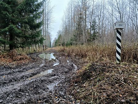 Штраф 200 евро: жители повадились гонять на квадроциклах вдоль границы Штраф 200 евро: жители повадились гонять на квадроциклах вдоль границы