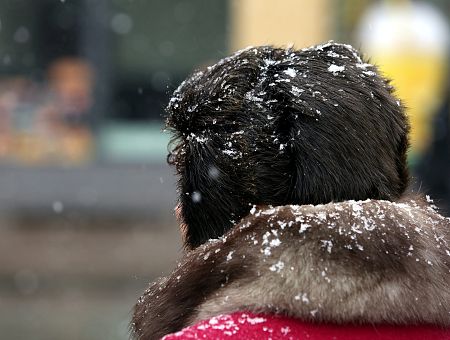 Уровень опасности — желтый! Синоптики предупреждают о снегопаде