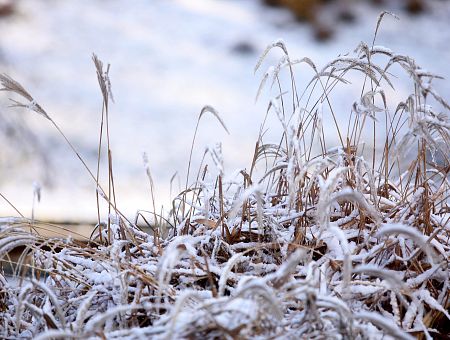 Зима прийдет на праздник. Снег возможен уже 18 ноября