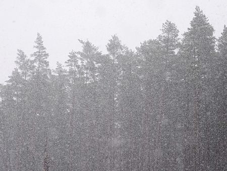 Зима пришла! А будет ли она суровой и снежной?