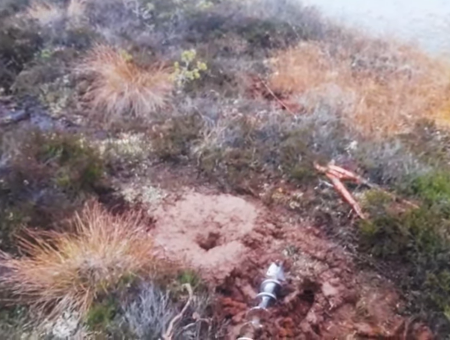 Хорошо, что не потравились: лесники случайно спровоцировали крупный выброс метана