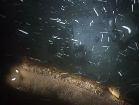 Всё по правилам: пенсионерку высадили ночью одну в незнакомом месте