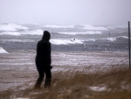 В Юрмале многие дома остались без света: и другие подробности прошедшей бури В Юрмале многие дома остались без света: и другие подробности прошедшей бури
