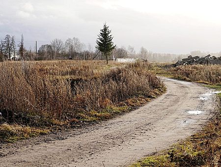 Дыхание Севера: сегодня похолодает, зато выглянет солнце Дыхание Севера: сегодня похолодает, зато выглянет солнце