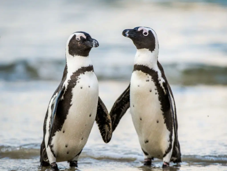 40 000 евро в год: латыши нашли работу мечты, но не в Латвии