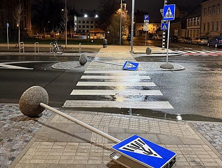 Машина сбила мою маму на переходе: Алина ищет свидетелей