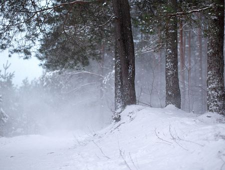 Ледяной дождь вроде отменяется, но снегом нас точно завалит: что обещают синоптики