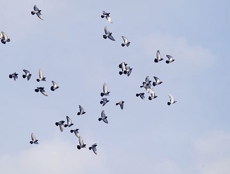 «От 10 до 20 см снега»: что покажет среда? «От 10 до 20 см снега»: что покажет среда?