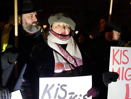 Пытки тоже оправдаем? Ланга заявила: права есть только у граждан Латвии