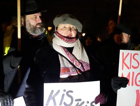 Пытки тоже оправдаем? Ланга заявила: права есть только у граждан Латвии