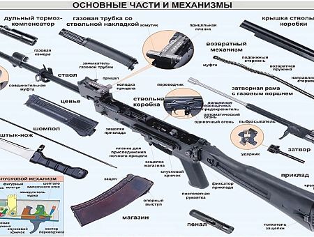 The Times нашла странную школу. Оружие, конспирология и симпатии к Путину