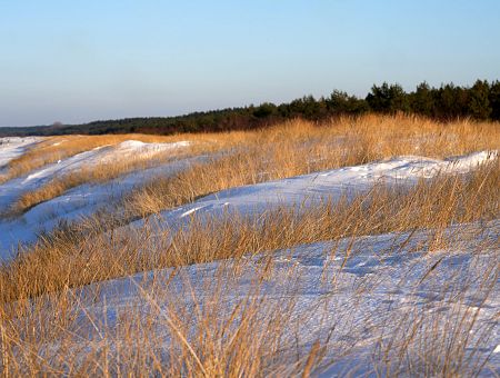 Прояснение и ветер, но без потепления — какой будет среда в Латвии?