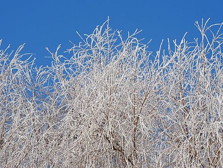 До минус 29 подморозило сегодня ночью: днём обещают снегопады