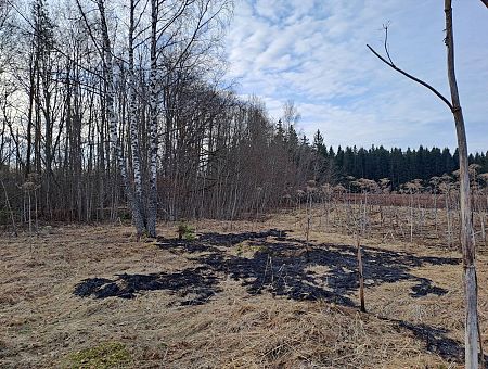 Национальные вооруженные силы опубликовали фото с места падения дрона