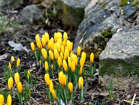 Весна пришла! Обещают солнце и до +15 градусов уже на следующей неделе Весна пришла! Обещают солнце и до +15 градусов уже на следующей неделе