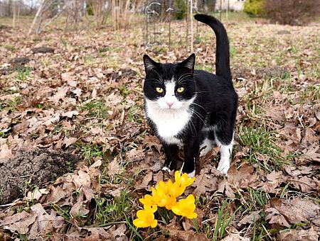 Возможны сильные дожди и мокрый снег: прогноз на ближайшие дни