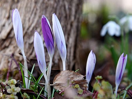 Уже сегодня: воздух прогреется до плюс 15