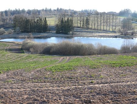 Совсем тепло: погода в понедельник Совсем тепло: погода в понедельник