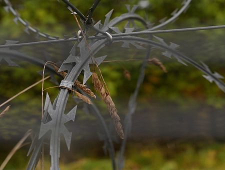 А пусть Украина предупреждает нас о дронах: власти признали проблемы с контролем границы