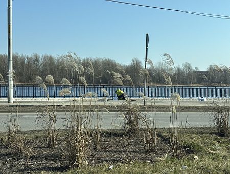 «Я не хочу никого обижать, но…» Видео с набережной Мукусалас в Риге возмутило зрителей (18+)