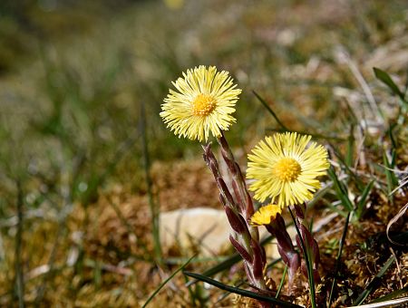 Антициклон над Латвией: потеплеют даже ночи!