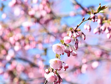 Otrdien saglabāsies saulains laiks