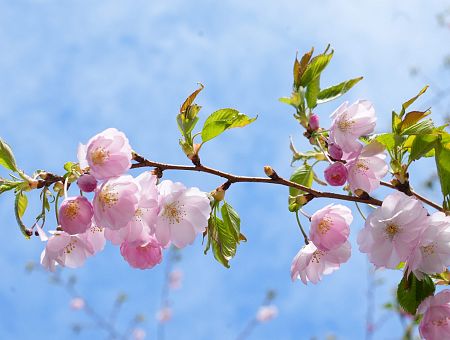 +15 уже скоро! Синоптики дали прогноз на неделю