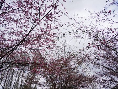 Руки золотые, но обе левые: разметка для слепых не держится в нашем асфальте? ВИДЕО