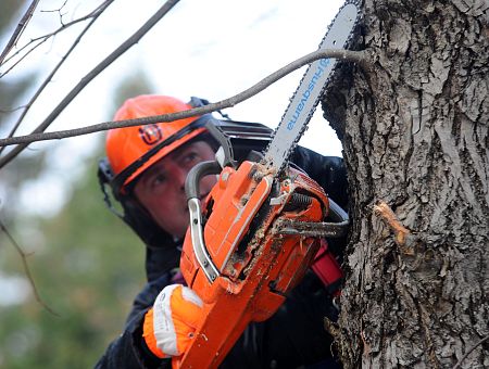 На литовской границе распилили машину контрабандиста: что нашли?