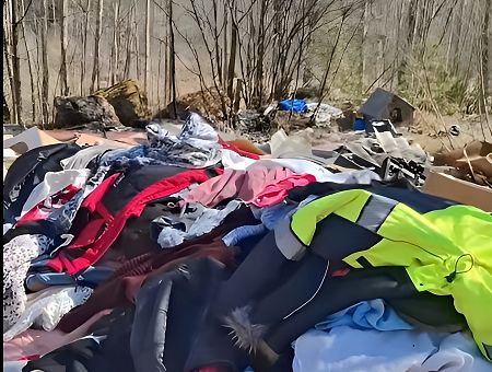 «Всё у нас есть — кроме мозгов!» Люди шокированы наглой свалкой одежды в лесу (ВИДЕО)