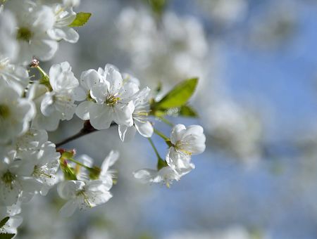Pirmo reizi šajā gadā gaisa temperatūra Latvijā pakāpusies virs +20 grādiem