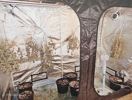 Дом на траве. Комната, палатка и килограмм марихуаны: полиция пришла в дом под Елгавой