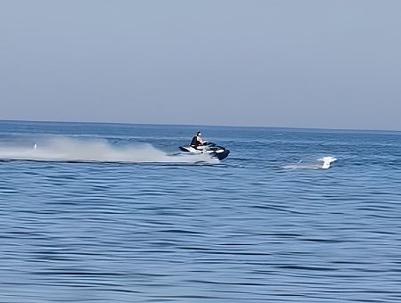 Герои в Рое: удалец на водном мотоцикле проехался лебедям по головам. А если бы там был пловец? (ВИДЕО)