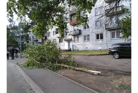 Ветер типа бури: латвийцев предупреждают о непогоде