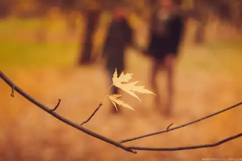 Nākamā nedēļa, iespējams, būs pēdējā rudenīgi siltā nedēļa šogad