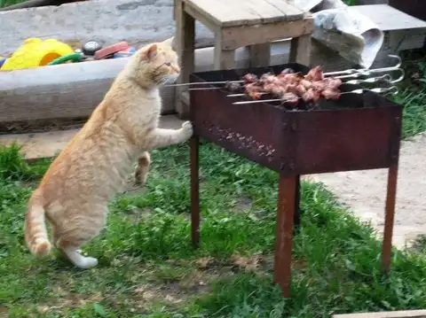 Уловки «шашлычной» мафии в Латвии: как распознать хорошее мясо