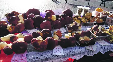 Не любите ходить за грибами, но любите грибной жульен? На рижском Центральном рынке прилавки радуют обилием боровиков
