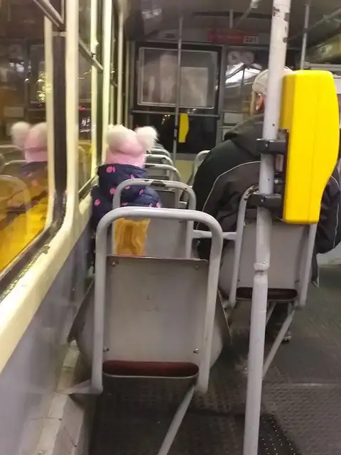 Кота из Лиепаи искали две недели, а нашли благодаря смешному фото
