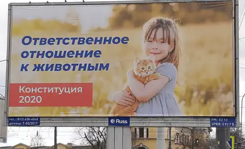 Игры с животными: все забыли о поправках в конституции РФ — кроме тех, кто осваивает бюджеты