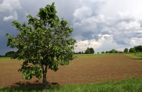 Svētdien būs mainīgs mākoņu daudzums