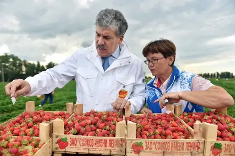 Зачем показательно топчут Грудинина? Похоже, он действительно испортил Путину «триумф» выборов 2018 года