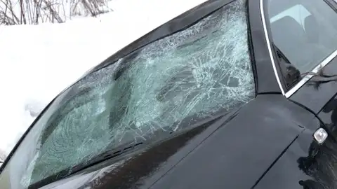 С дороги съехал наощупь: в Бабитском крае машина сбила лося и водитель чудом не пострадал