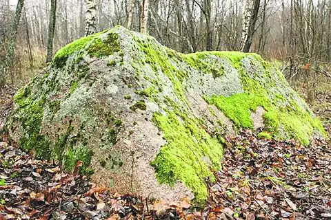 Маршрут выходного дня: прогулка вдоль реки Виесаты, каменная тропа Яунсташулю, тропа Снежной королевы