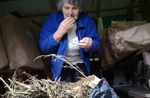 Дело о конопле: полиция выплатит пенсионерке 1500 евро, но она хотела 3 тысячи