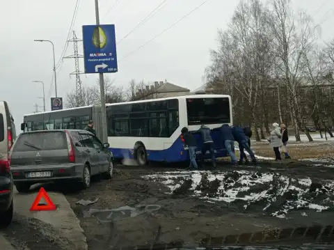 Объединил Латвию: чем закончилось выталкивание рейсового автобуса из грязи в Вецмилгрависе