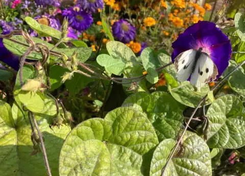 Oktobra pēdējā dienā spīdēs saule