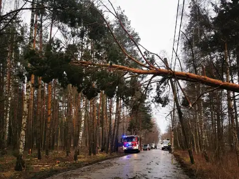 Madonas novadā mežā krītošs koks nāvējoši traumējis cilvēku